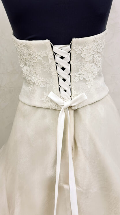 PAULA - Imagen 5